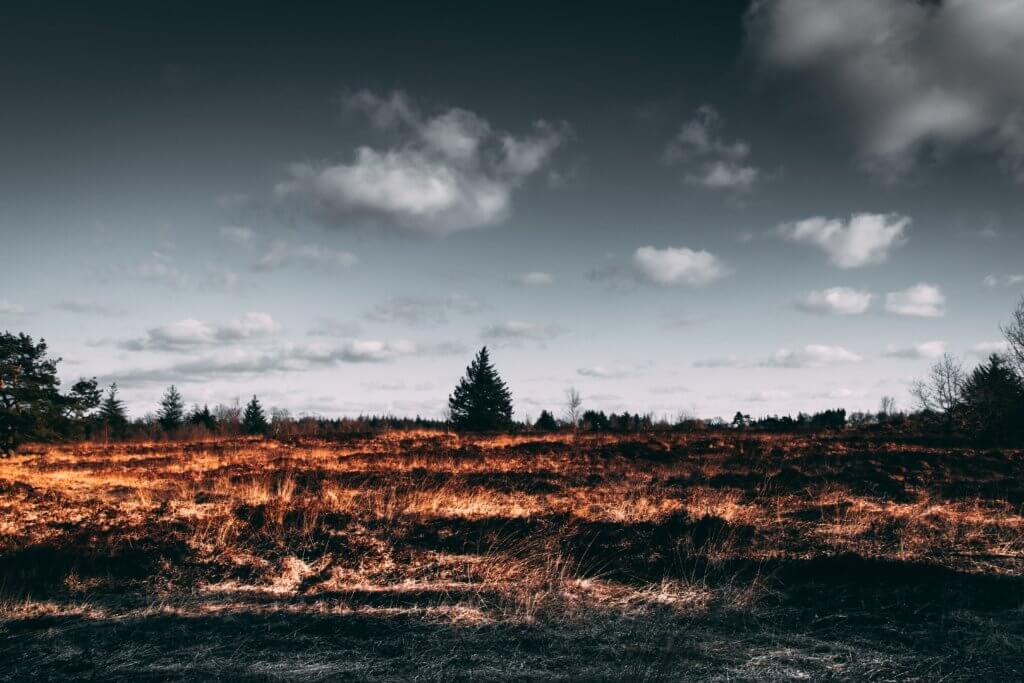 Wildfires causing damage to farmers' livelihoods.